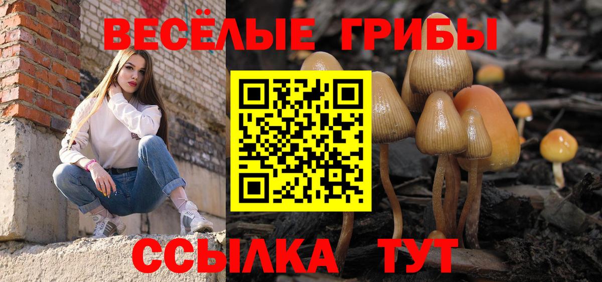 Галлюциногенные грибы Psilocybine cubensis  Галлюциногенные грибы прущие грибы  Когалым  Вход с VPN 